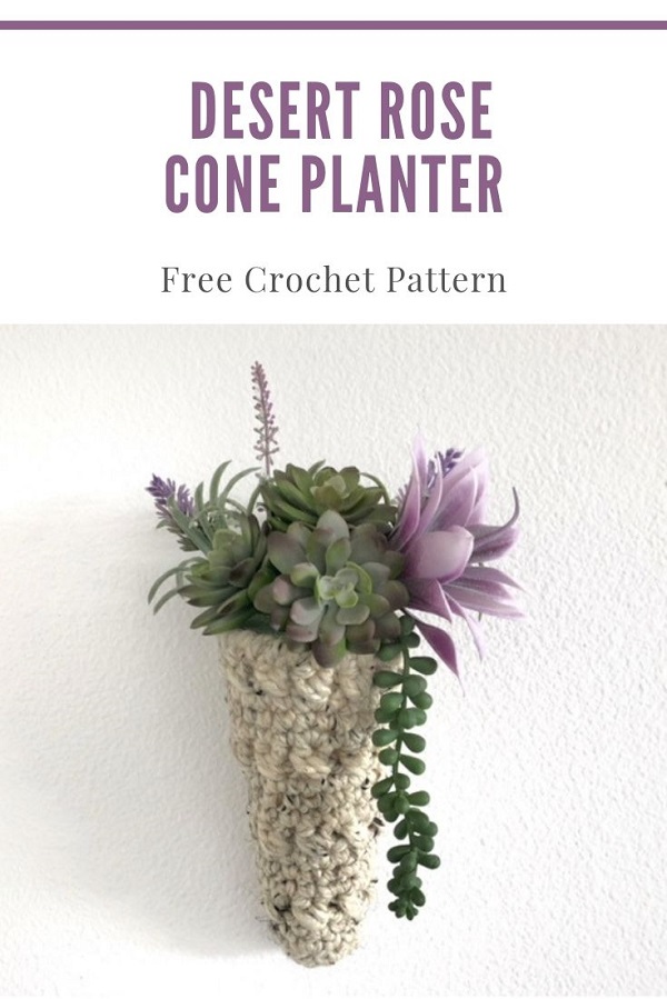 a pinterest image showing the desert rose cone shaped plant hanger