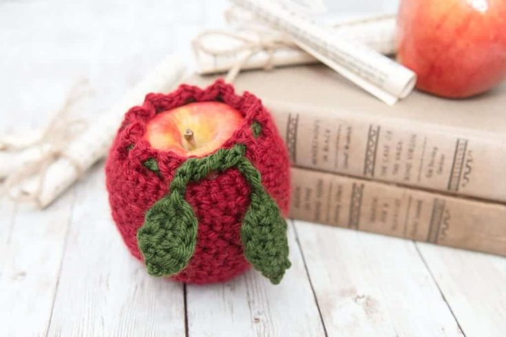 Image for Crochet Your Own Apple Koozie with Free Pattern