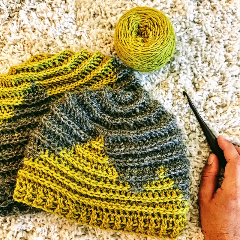 Photo of the Twin Sisters Beanie with hook and yarn