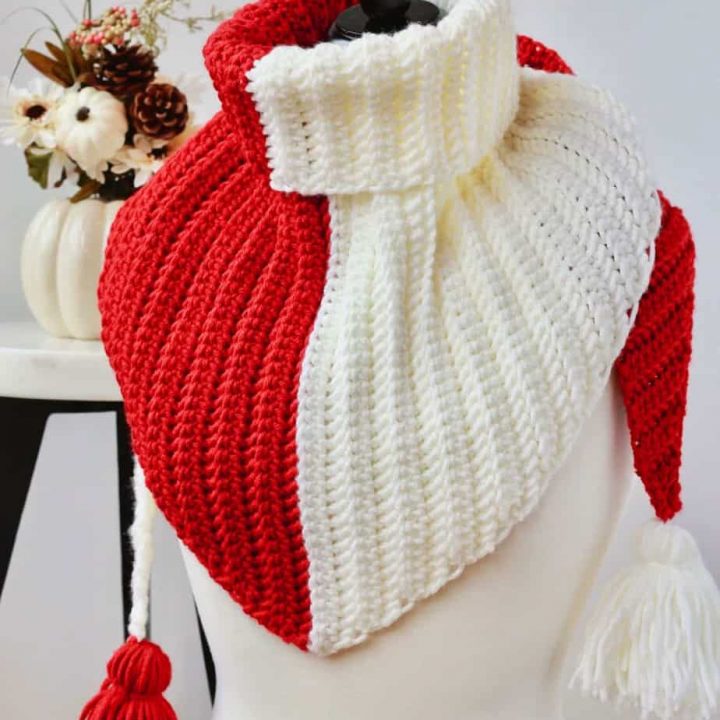 Image for Harvest Color Block Scarf