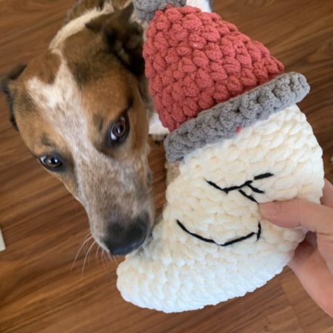 Image for Sleepy Moon Dog Toy